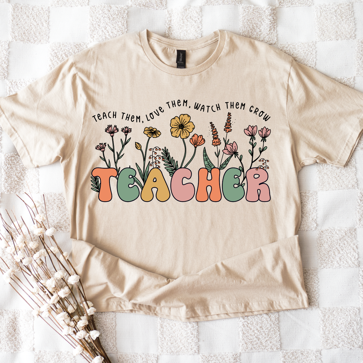 Teacher 3