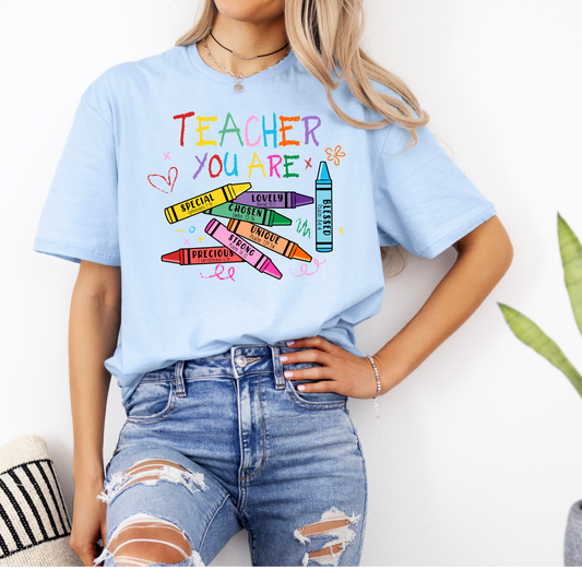 Teacher